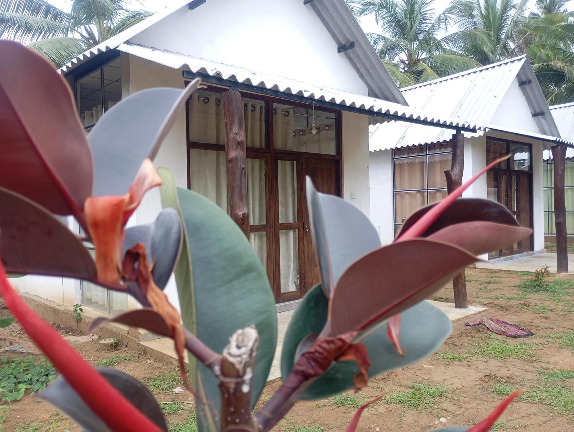 Eagle Safari Cottage Udawalawe Eksteriør billede