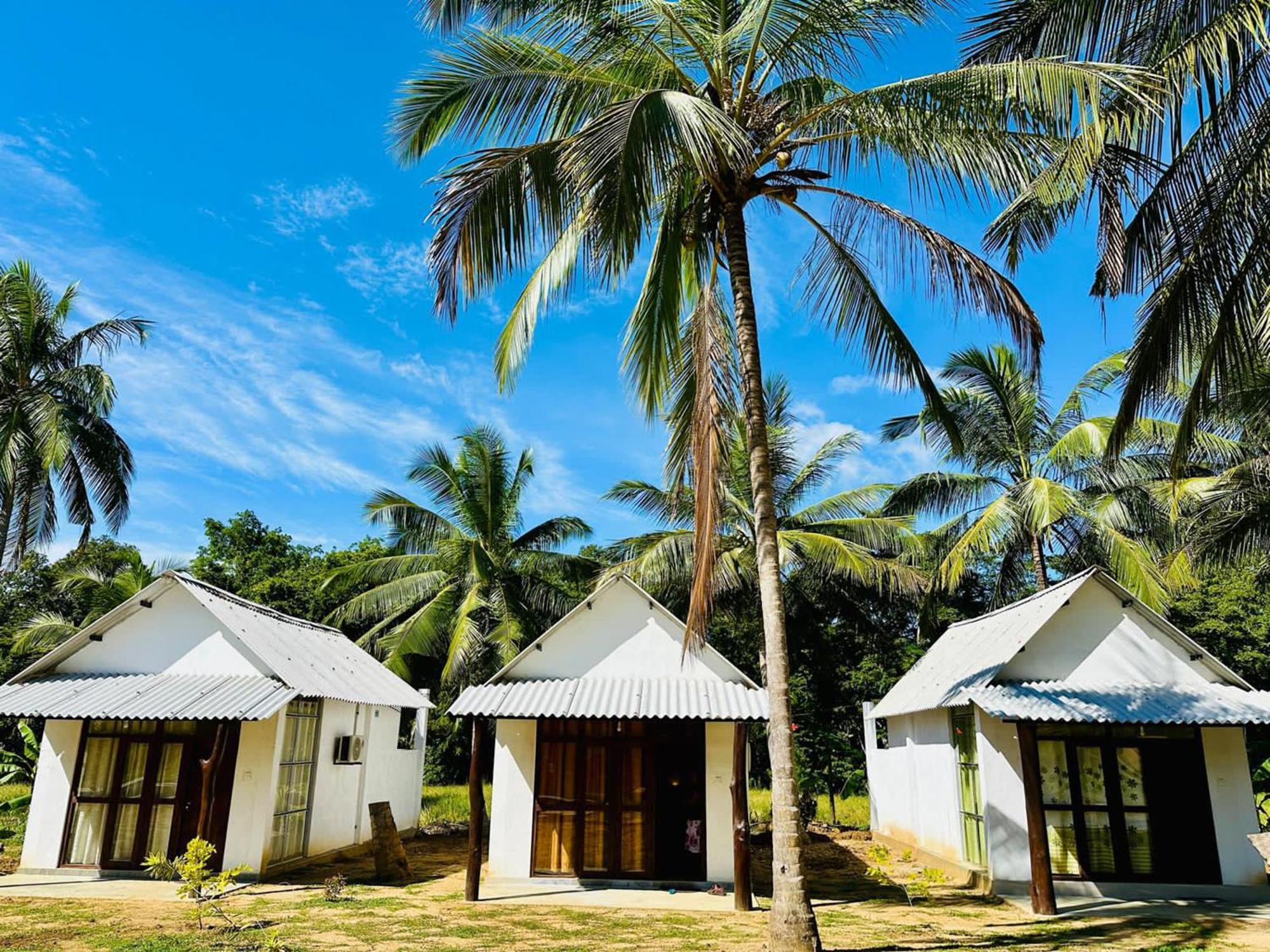 Eagle Safari Cottage Udawalawe Eksteriør billede
